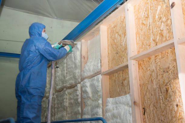 Best Best Insulation Companies  in Woodlawn, MD